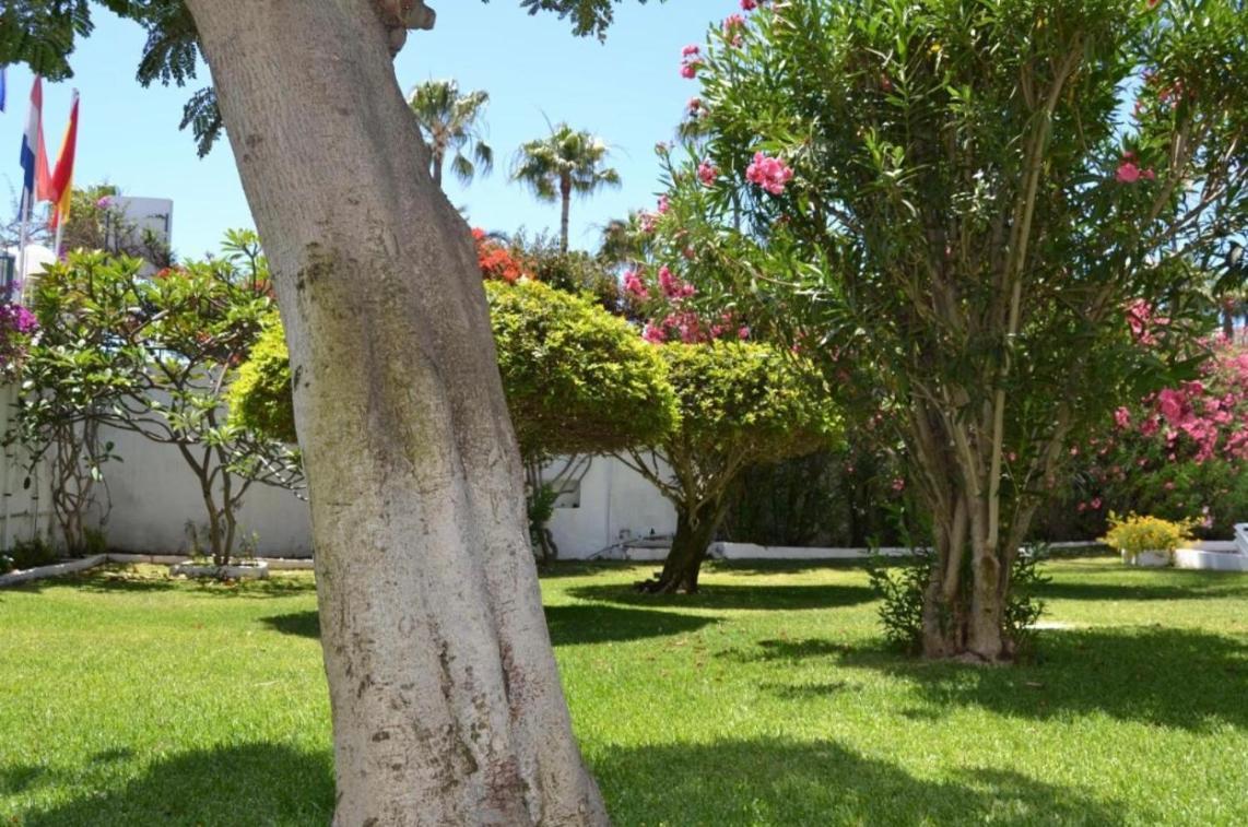Ocean Blue 405 Apartment San Bartolomé Luaran gambar